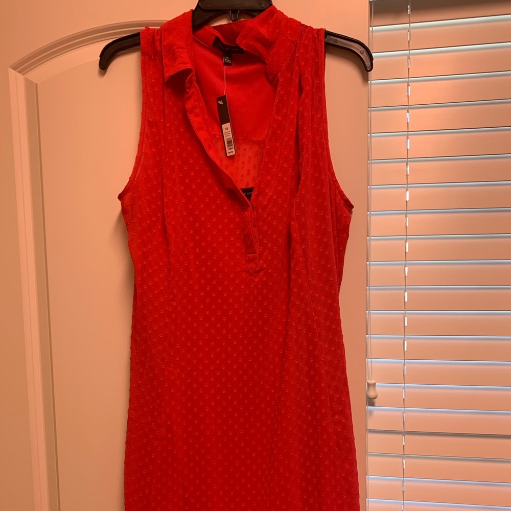 The limited Hot pink dress size 16 NWT